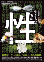 生きものたちの性